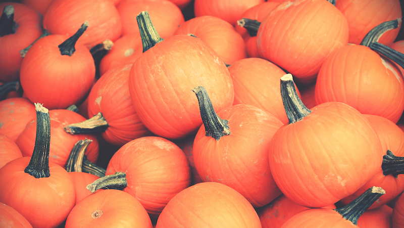 Pile of pumpkins