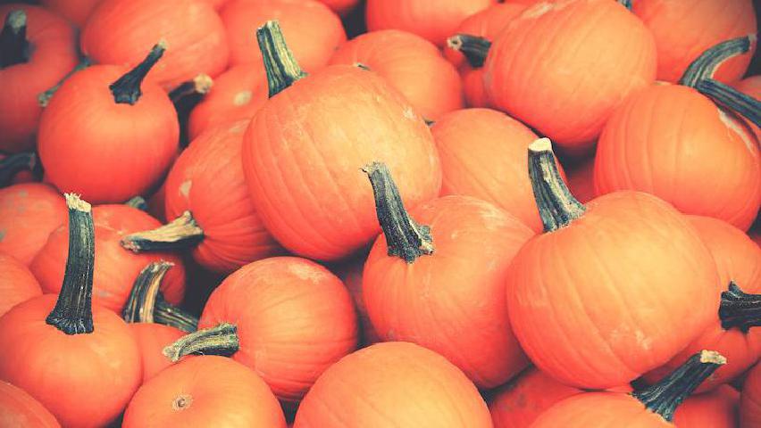 a pile of pumkins