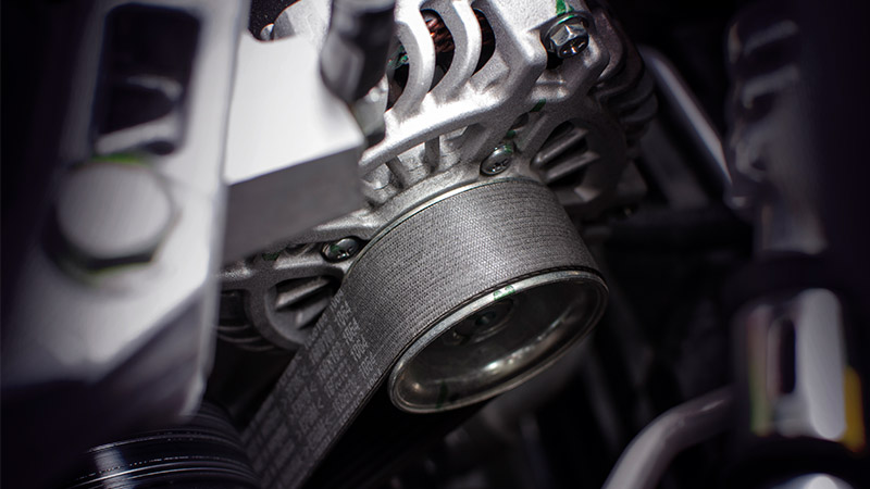 Drive Belt