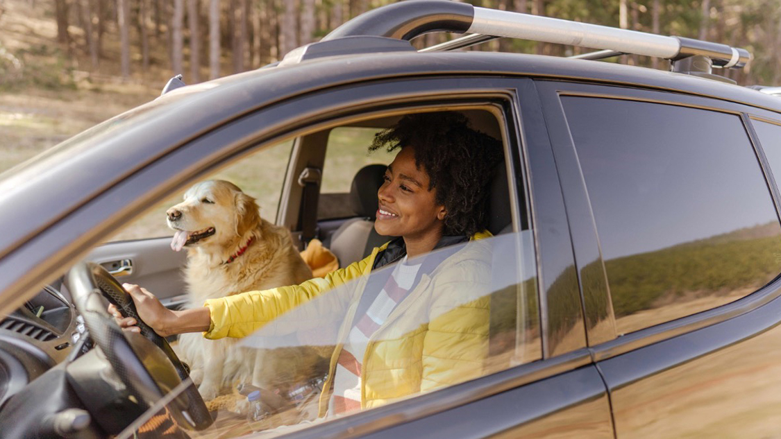 Driver with Dog
