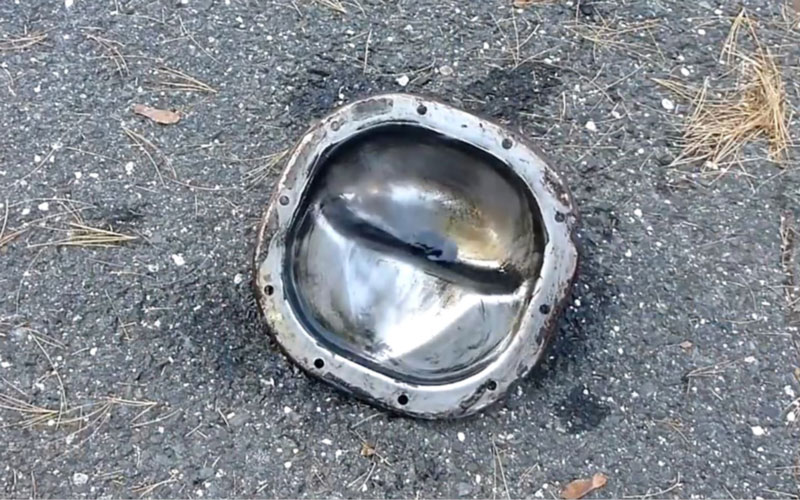 Rear Axle Bearing
