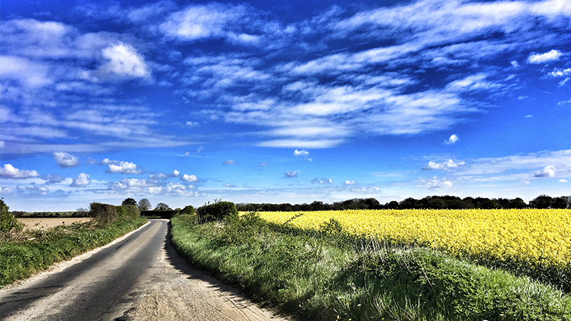 Rural road Rural road
