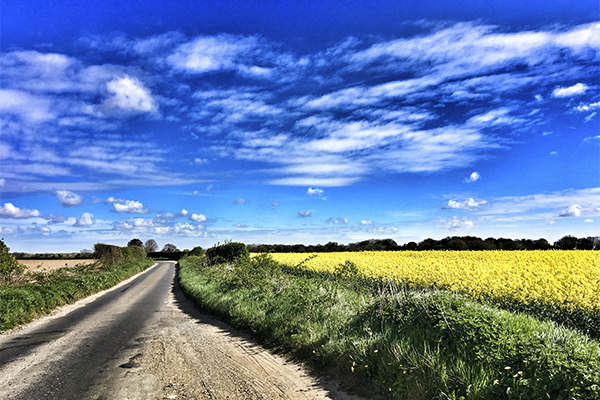 rural road