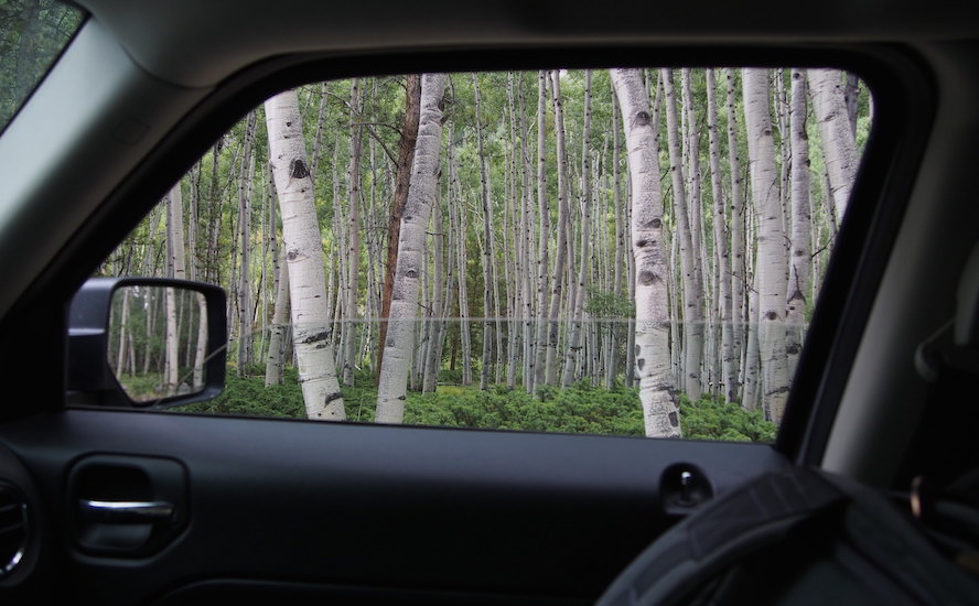 car window