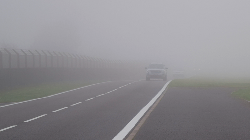 foggy road