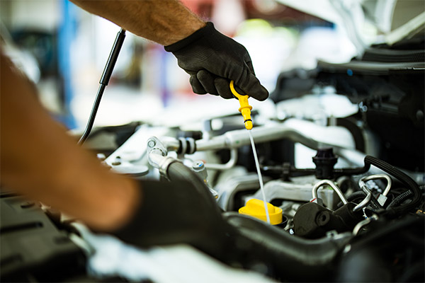 oil replacement