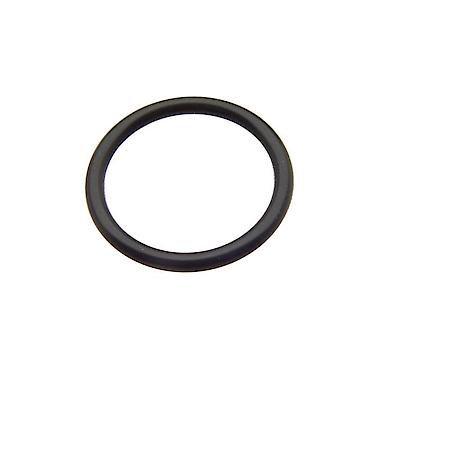 Timing Cover O-Ring