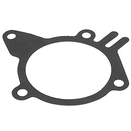 Water Pump Gasket