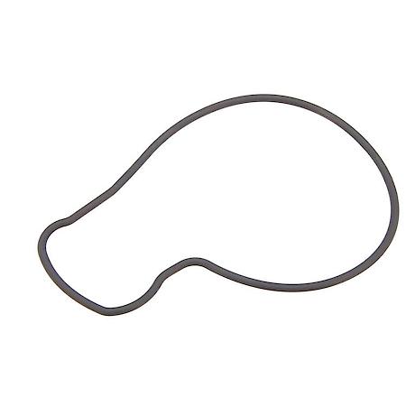 Water Pump Gasket