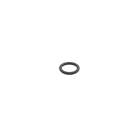 Hollow Bolt Seal Rin