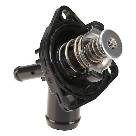 Thermostat Assembly