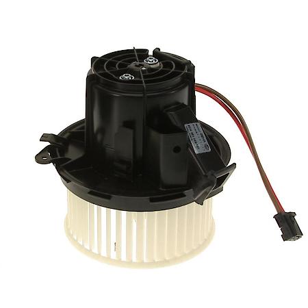 Blower Motor