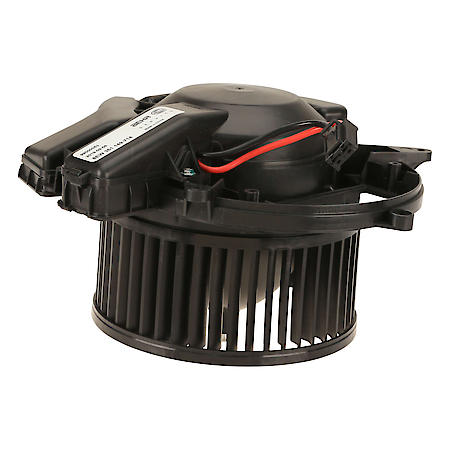 Blower Motor