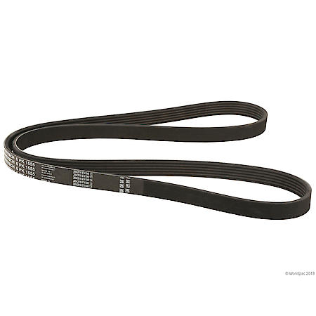 Drive V-Belt