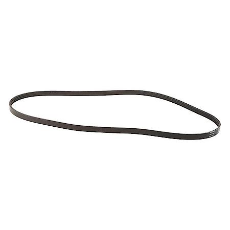 Drive Belt