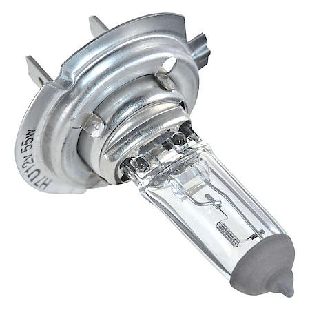 Headlight Bulb
