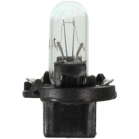 Medium Standard Mini Lamp (sold by each)