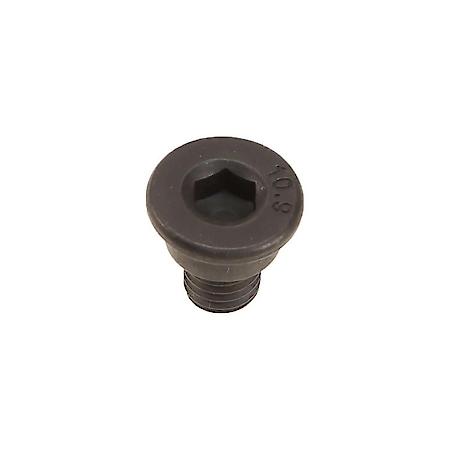 BRAKE DISC SET SCREW