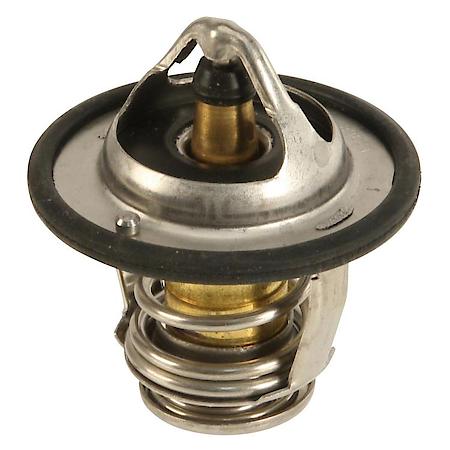 CALORSTAT Thermostat