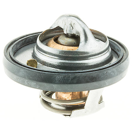 Standard Thermostat: With Seal, 195 Degrees