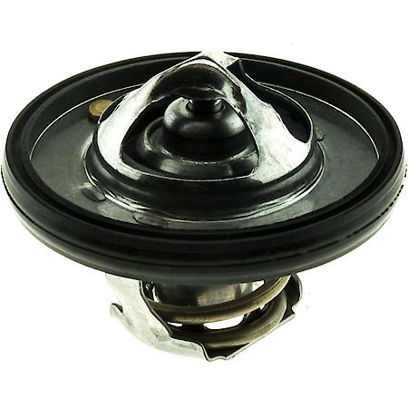 Thermostat: With Seal, 195 Degrees