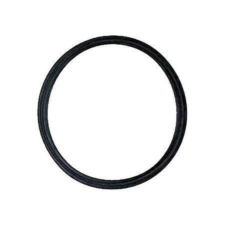 THERMOSTAT SEAL