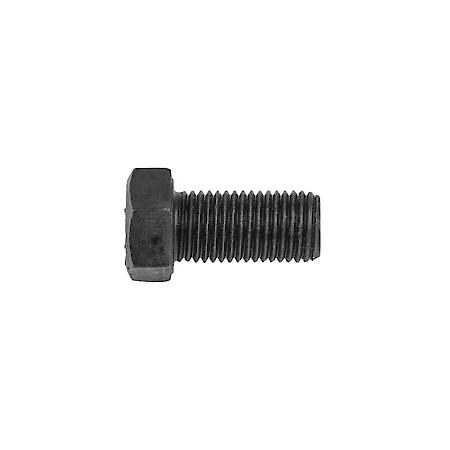 Ring Gear Bolt