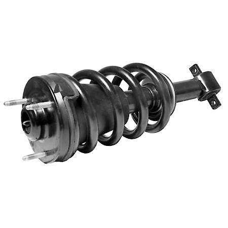 Complete Strut Assembly: Includes Strut, Coil Spring, and Mount