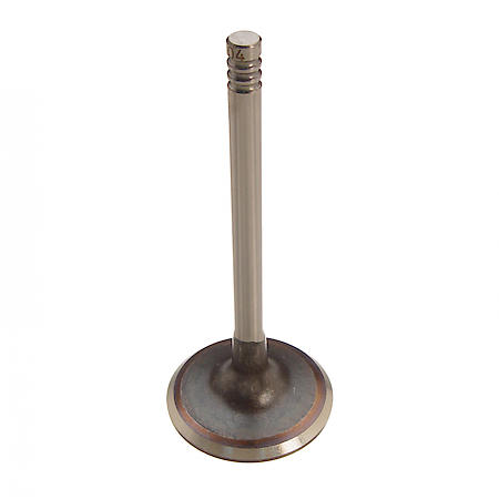Intake Valve