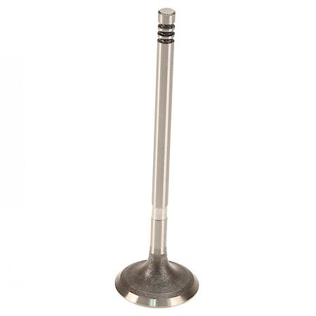 Intake Valve