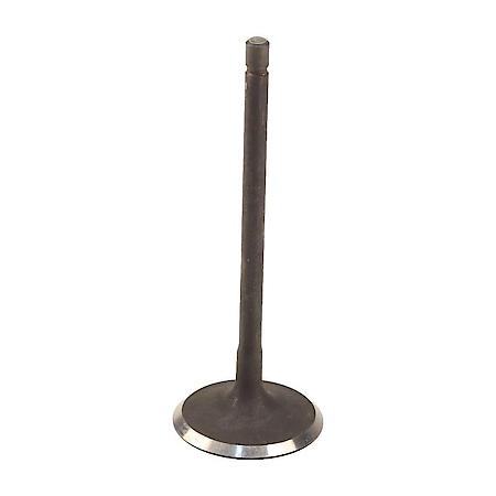 Intake Valve