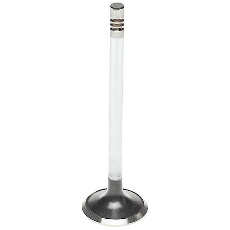 EXHAUST VALVE