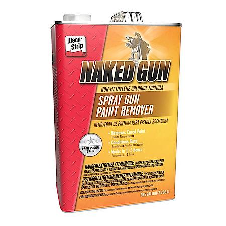 Paint Remover