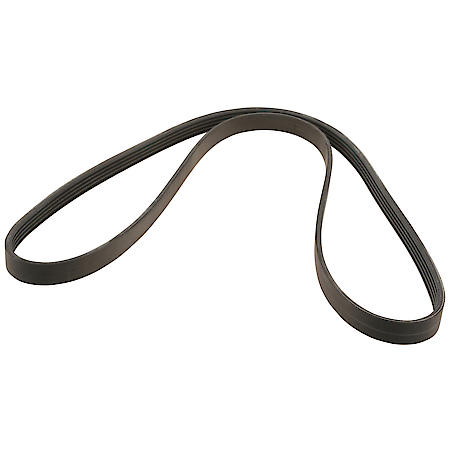Drive Belt