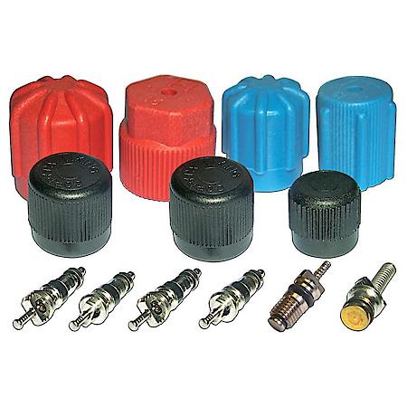 Cap & Valve A/C System Seal Kit