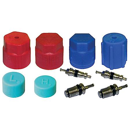 Cap & Valve A/C System Seal Kit