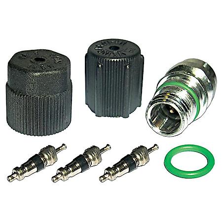 Cap & Valve A/C System Seal Kit