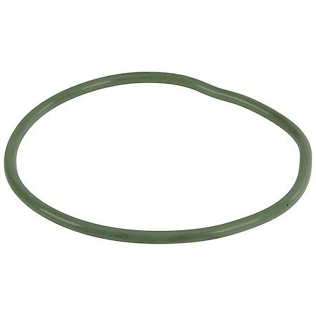 Fuel Pump Tank Seal