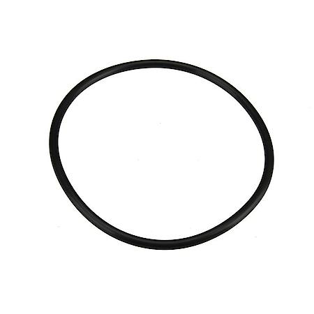 Fuel Tank Pump Seal
