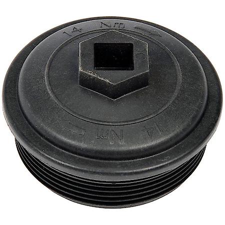 Fuel Filter Cap And Gasket
