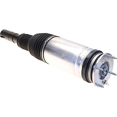 Suspension Air Strut