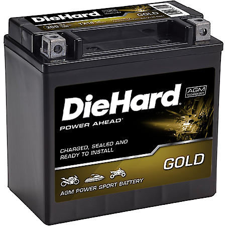 Battery: TX14 Group Size, 200 CCA, 12 Amp Hour Capacity, For Off-Road Use