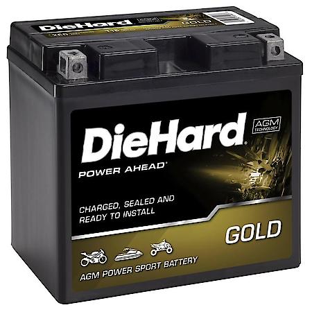 Battery: T16 Group Size, 260 CCA, 19 Amp Hour Capacity, For Off-Road Use