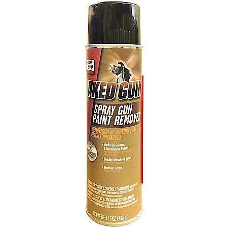 Spray Gun Paint Remover 15 Oz Aerosol-Removes Both Solvent And Waterborne Paints