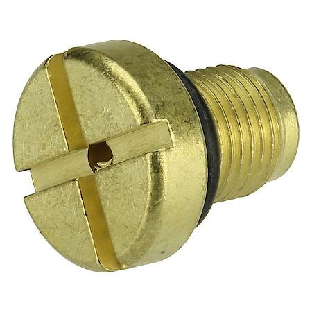 Coolant Bleed Screw