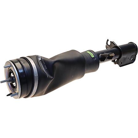 Strut Assembly