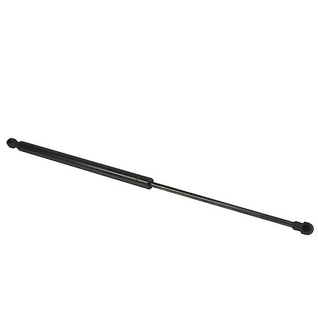 FEQ Trunk Strut