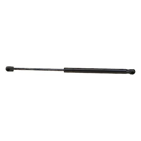 Hatch Strut