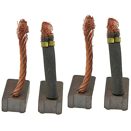 Starter Brush