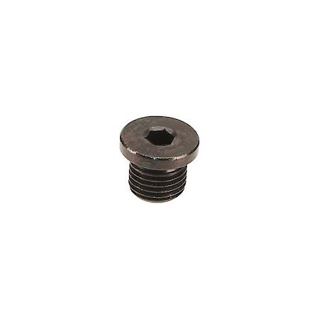 Oil Drain Plug